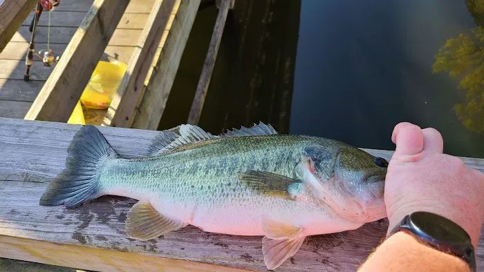 Dekalb County Public Lake 8