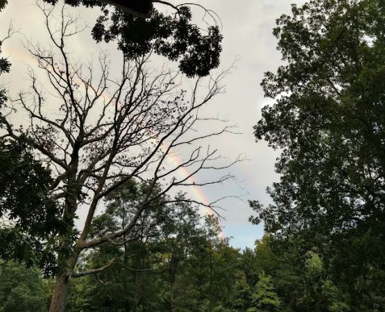 Sawmill Lake Campsite - Crockford Pigeon Mountain WMA