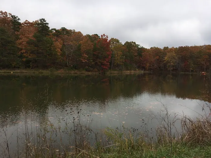 Sawmill Lake Campsite - Crockford Pigeon Mountain WMA 4