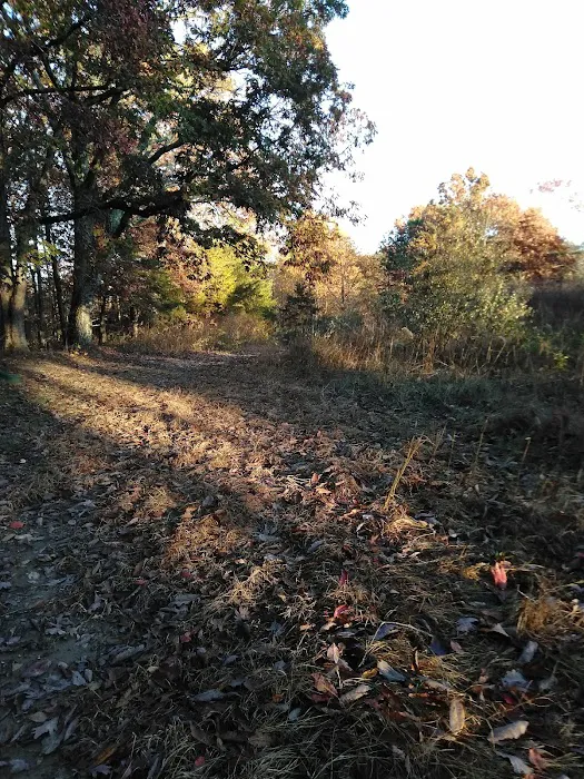 Sawmill Lake Campsite - Crockford Pigeon Mountain WMA 7