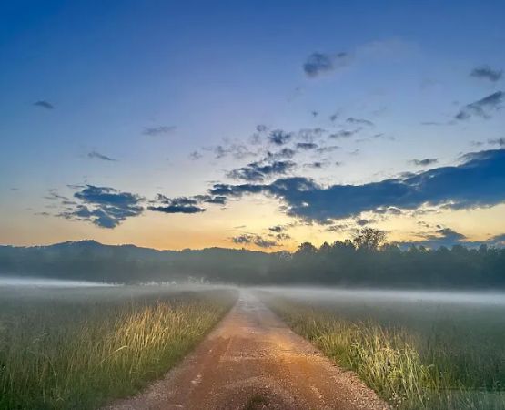 Blue Moon Campground
