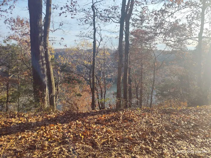 White County Access -Site 20 2