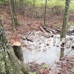 Awakening Adventures llc