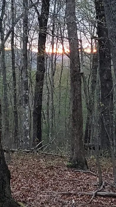 Awakening Adventures llc 3