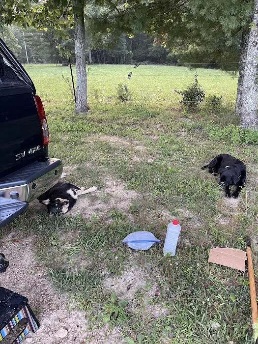 Clear Creek Campground 1