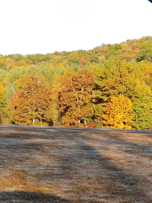 Clear Creek Campground 5
