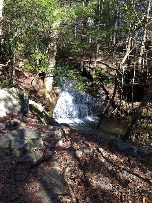 Martha’s Pretty Point 2
