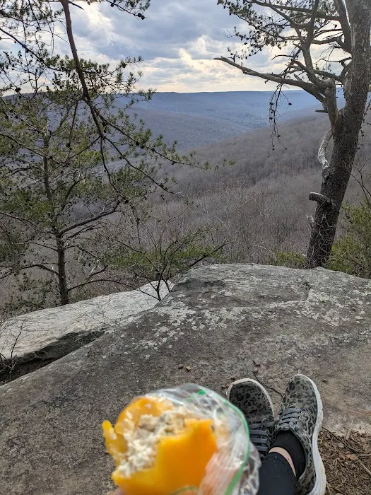 Martha’s Pretty Point 7