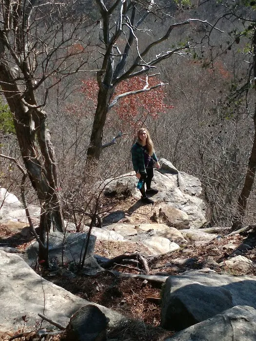 Martha’s Pretty Point 6