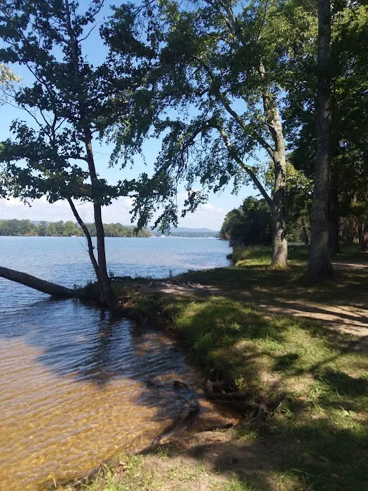 Campground 4