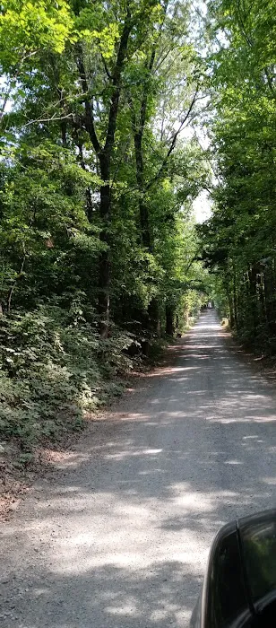 Campground 9