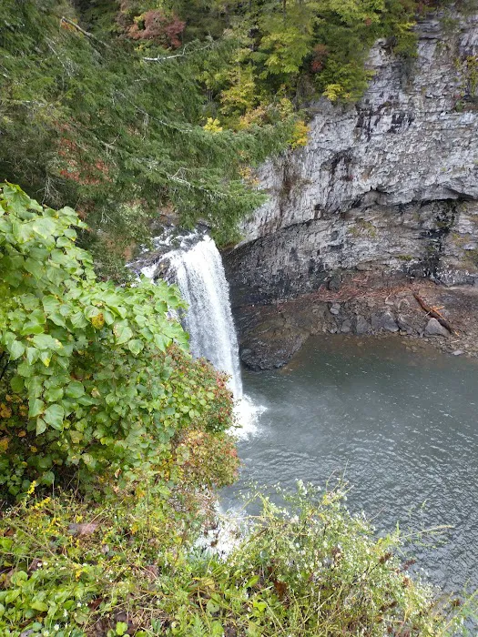Fall Creek Falls - Family Campground A & E 2