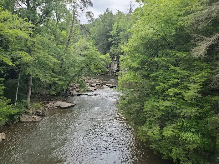 Fall Creek Falls - Family Campground A & E 6