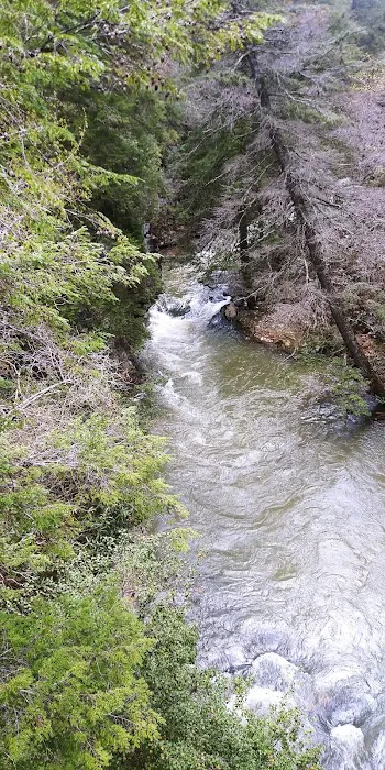 Fall Creek Falls - Family Campground A & E 8
