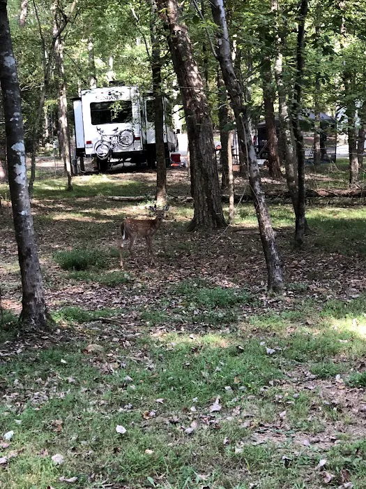 Cane Creek Camp 2