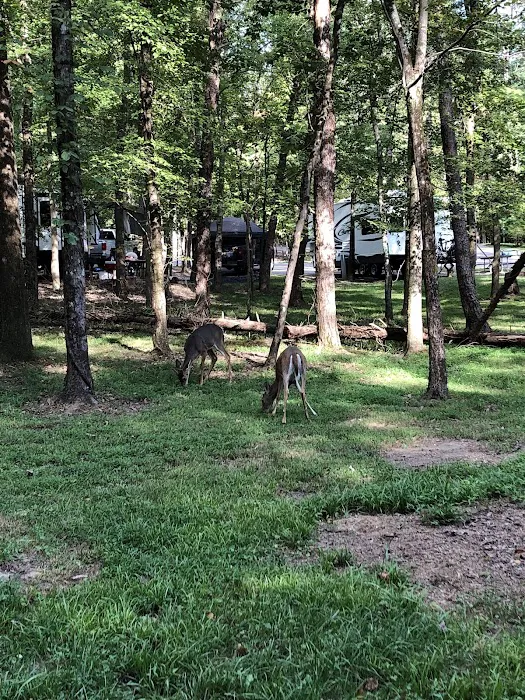Cane Creek Camp 1