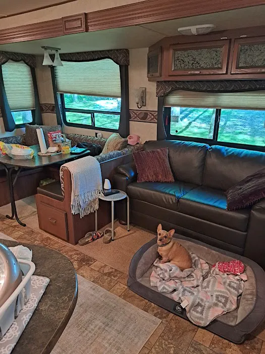 Armstrong Ferry Campground 9