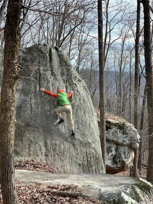 Dogwood Climbing 1