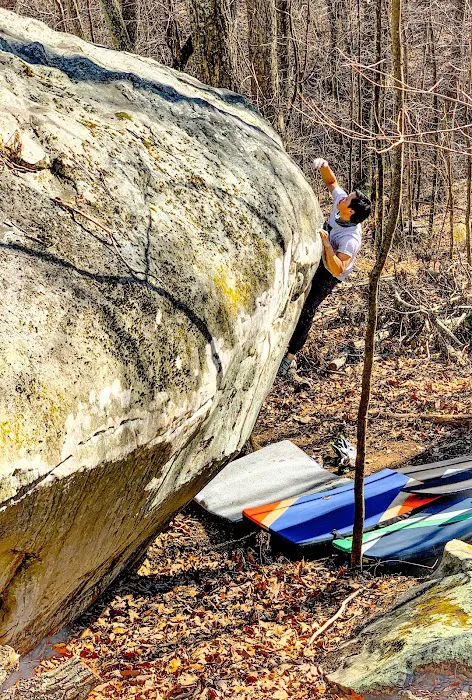 Dogwood Climbing 6
