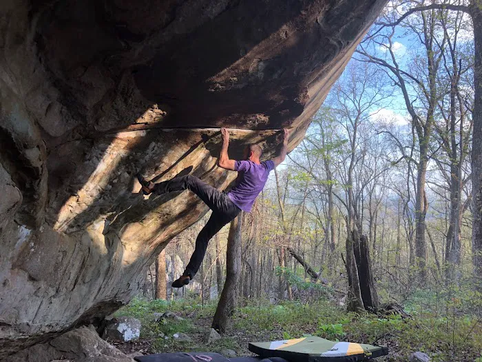 Dogwood Climbing 8