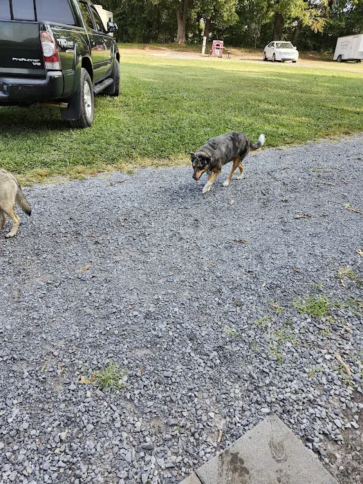 Rural Retreat Campground 9