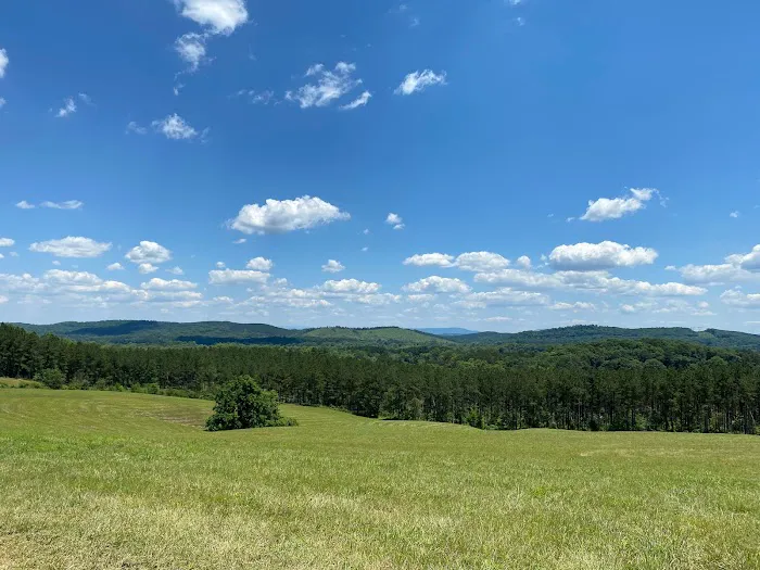 Eads Bluff Overlook Campground 2