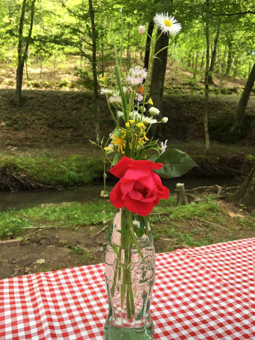 Rogers Creek RV Park 9