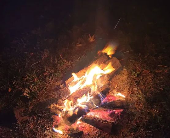 Watts Bar Camp and RV