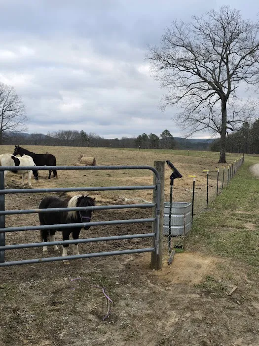 White Oak Ranch TN 5