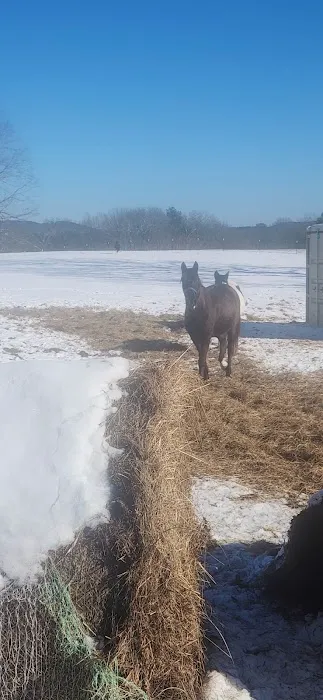 White Oak Ranch TN 3
