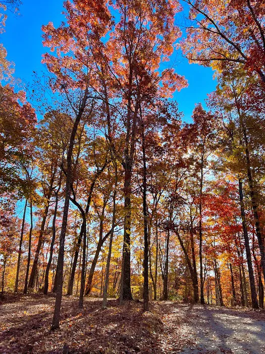 Fall Creek Falls Stables Campground 2