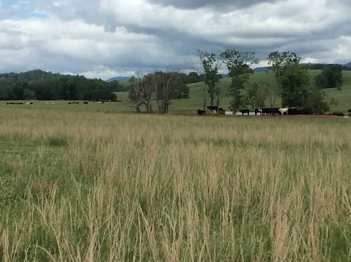 R and R RV Campground 5