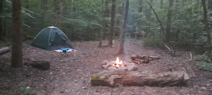 Sawmill Campsite 3