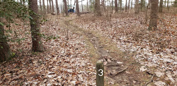 Collins West Campground 2