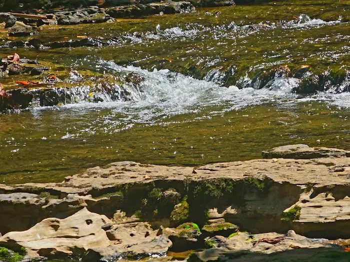 Collins West Campground 3