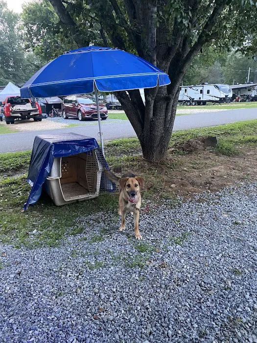 Ten Mile Campground 5