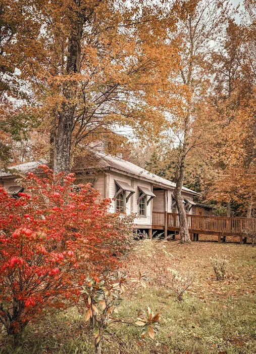 Camp Willow 4