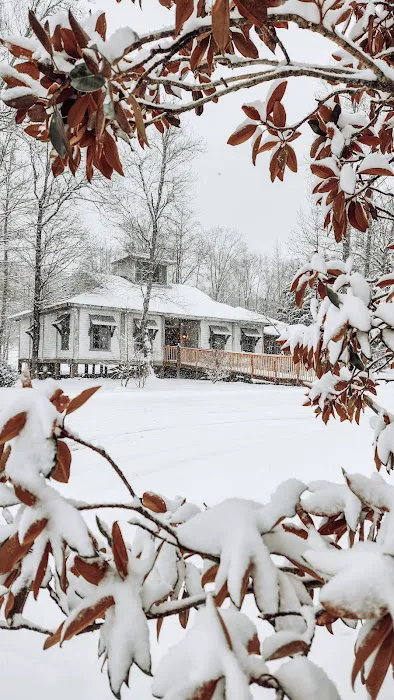 Camp Willow 5