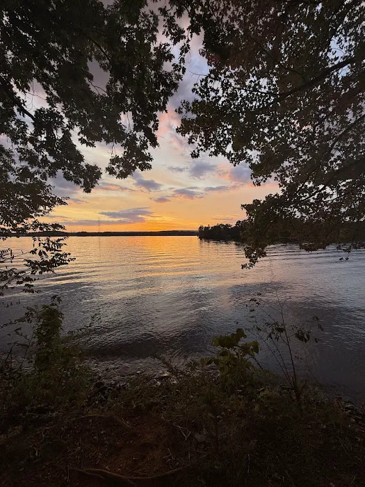 Skull Island Campground 7