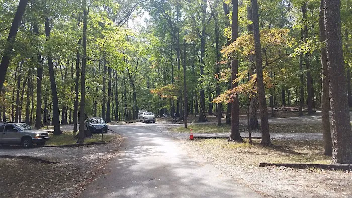 Group Camp 2