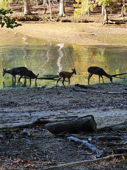 Harrison Bay State Park Campground Loop B 3