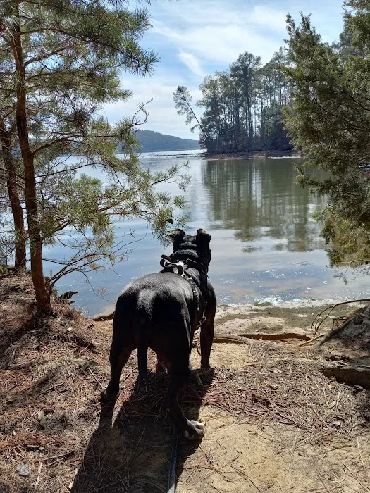 Harrison Bay State Park Campground Loop C 8
