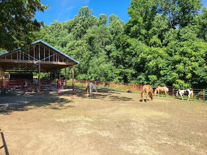 Camp Buck Toms 9
