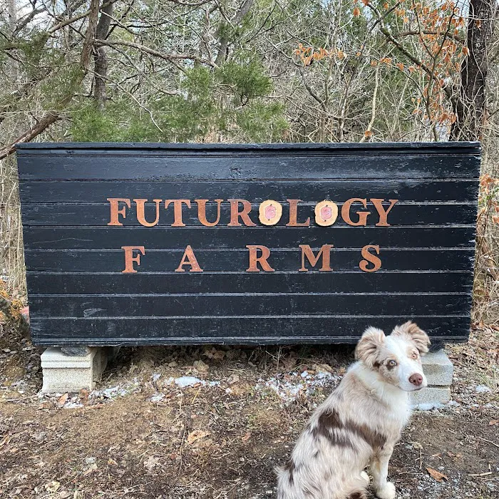 Futurology Farms 4