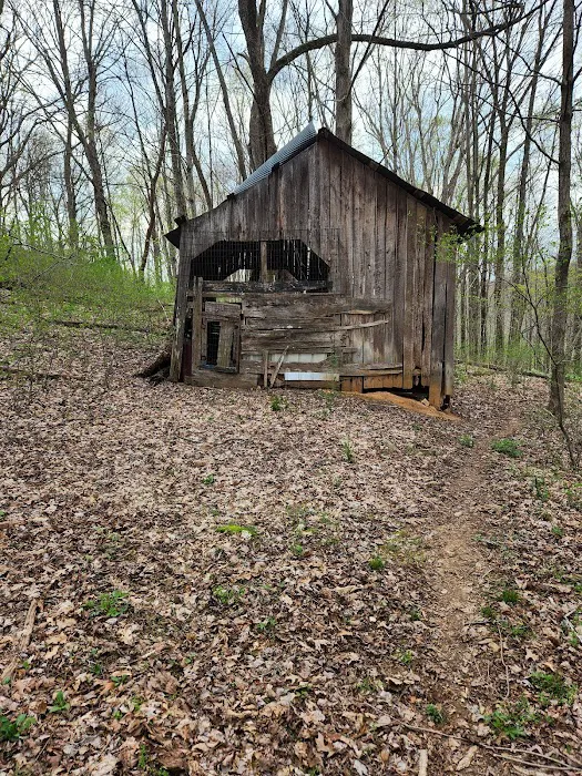 Nettlecarrier Creek Camp 2
