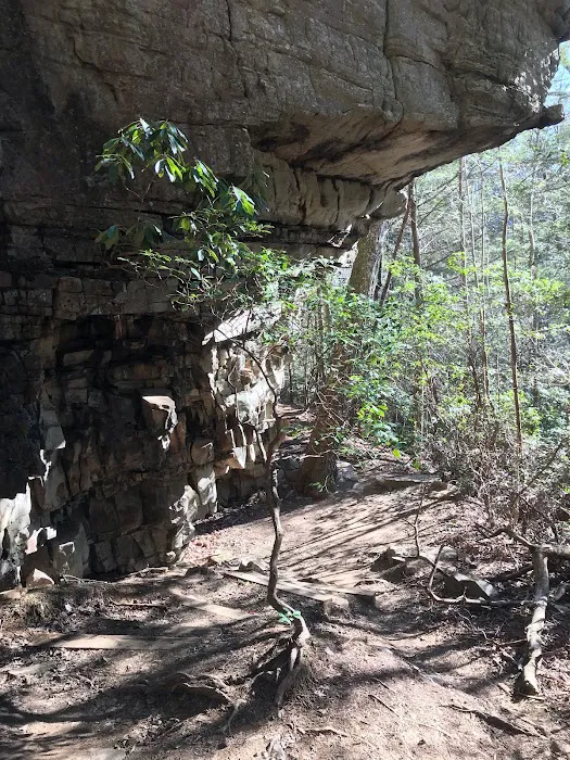 Greeter Falls Campground 4