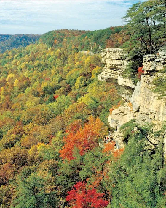 Greeter Falls Campground 6