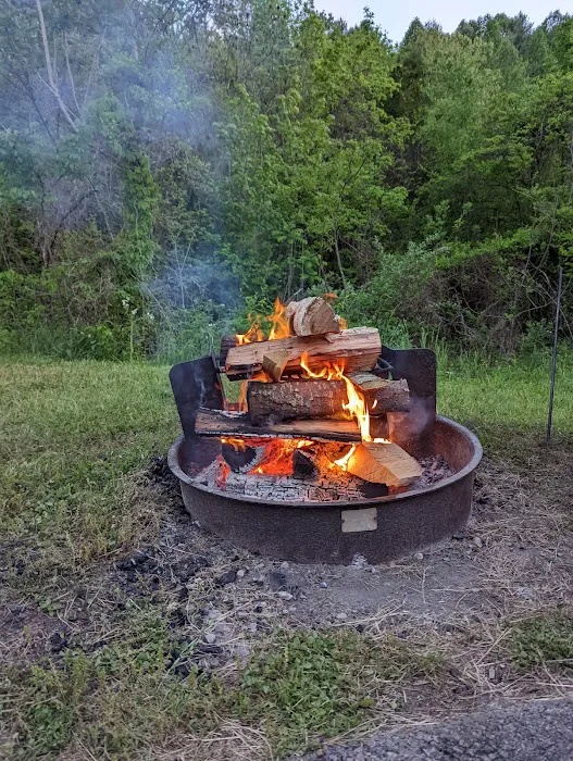 Dale Hollow State Park Campground 9