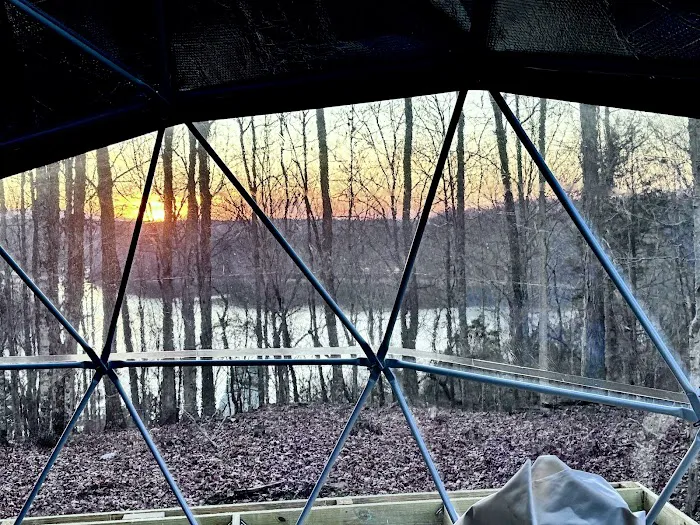 Dale hollow domes 0
