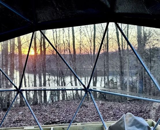 Dale hollow domes